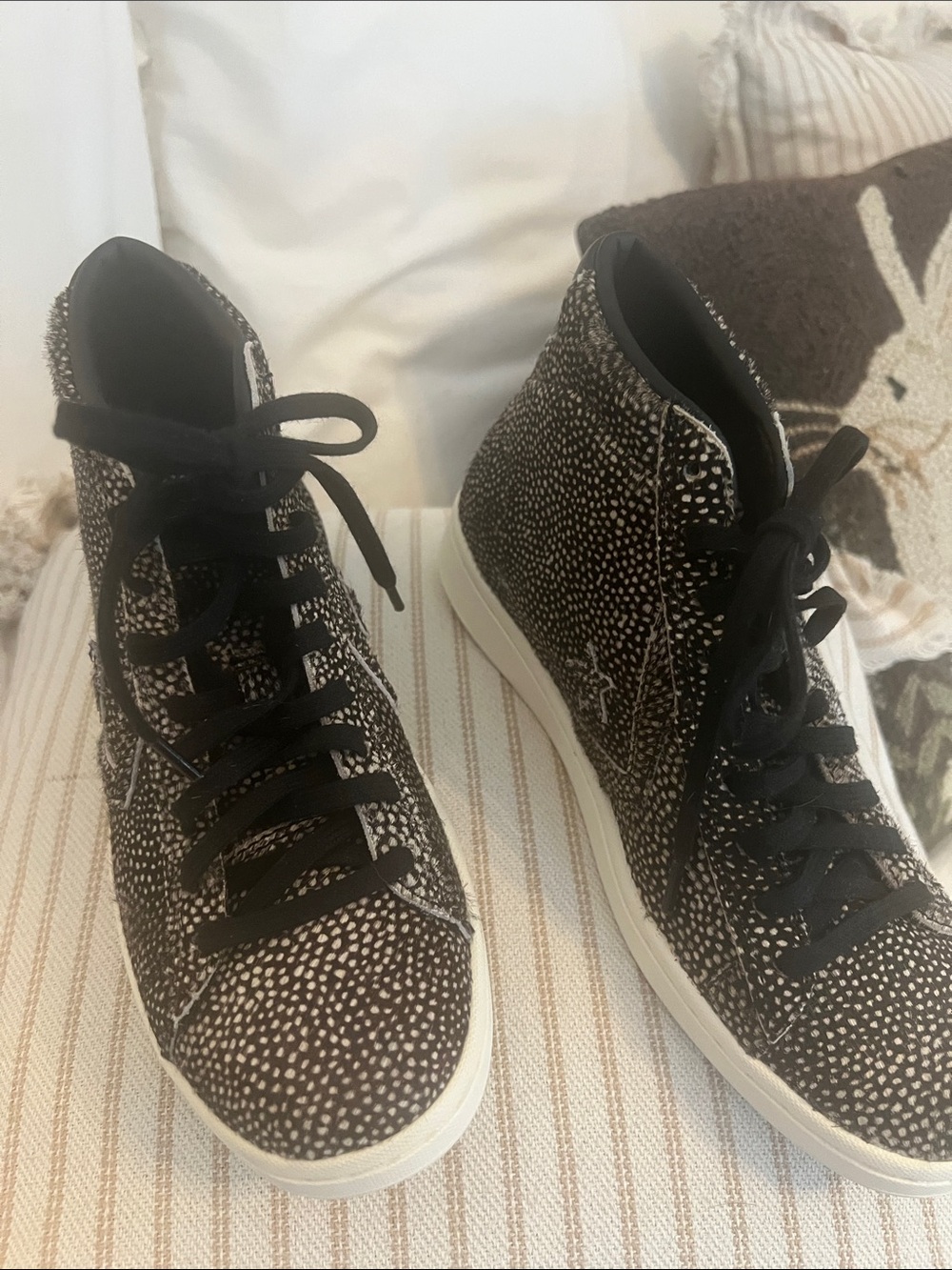 Converse Women's High-Top Sneakers in Black and White Speckle